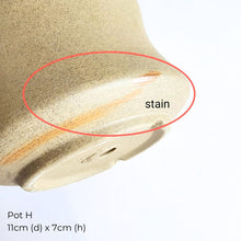 Load image into Gallery viewer, The Leaferie As-is Pot June 2025. 9 items