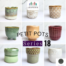 Load image into Gallery viewer, Petit Flowerpots (Series 18)