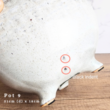 Load image into Gallery viewer, As-Is Pots Batch November 2023 (13 items)