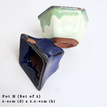 Load image into Gallery viewer, The Leaferie AS-IS october 24. 8 items