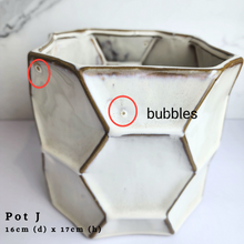 Load image into Gallery viewer, The Leaferie As-is Feb 24. Pot J