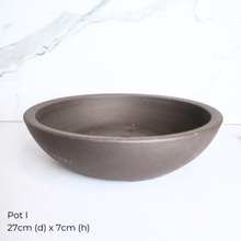 Load image into Gallery viewer, The Leaferie As-Is Pot April 25. 9 items