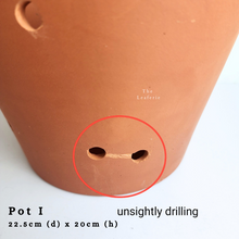 Load image into Gallery viewer, The Leaferie As-is Sale March 24. Pot I