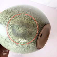 Load image into Gallery viewer, The Leaferie As-is March 25 . 9 items