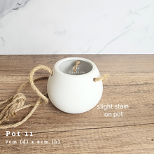 Load image into Gallery viewer, The Leaferie AS-IS Pots December 23. Pot 11