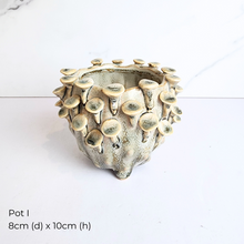 Load image into Gallery viewer, The Leaferie As-Is Feb 2025. 9 pieces items