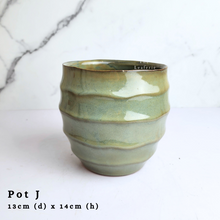 Load image into Gallery viewer, The Leaferie As-Is April 2024 flowerpots