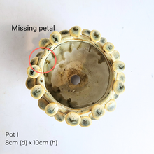 Load image into Gallery viewer, The Leaferie As-Is Feb 2025. 9 pieces items