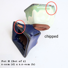 Load image into Gallery viewer, The Leaferie AS-IS october 24. 8 items