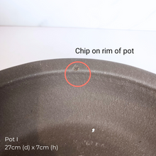 Load image into Gallery viewer, The Leaferie As-Is Pot April 25. 9 items