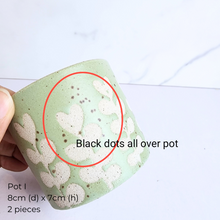 Load image into Gallery viewer, The Leaferie AS-IS Jan 25 . 9 new flowerpots