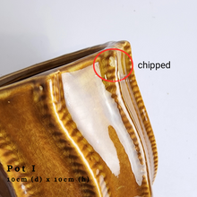 Load image into Gallery viewer, The Leaferie As-Is Batch june 2024. defective pot 12 pieces.