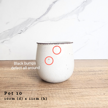 Load image into Gallery viewer, As-Is Pots Batch November 2023 (13 items)