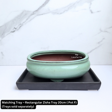 Load image into Gallery viewer, Bonsai Tally Flowerpot (Series 3)