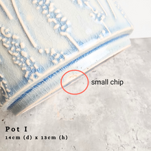 Load image into Gallery viewer, the Leaferie As-is september 2024. 12 pot