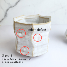 Load image into Gallery viewer, The Leaferie As-is Sale March 24. Pot J