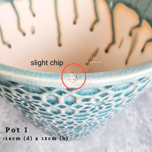 Load image into Gallery viewer, The Leaferie As-is august 24. 12 items