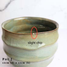 Load image into Gallery viewer, The Leaferie As-Is April 2024 flowerpots