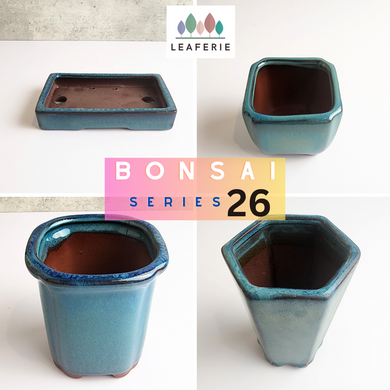 The Leaferie Bonsai Series 26. blue theme. 4 designs ceramic pot. photo of all 4 deisgns 