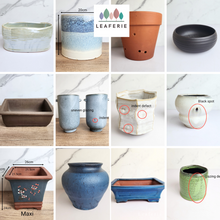 Load image into Gallery viewer, The Leaferie As-is Sale March 24.