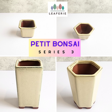 Load image into Gallery viewer, The Leaferie Petit Bonsai series 3 . Beige theme 4 designs . ceramic mini pots. photo of all designs