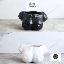 Load image into Gallery viewer, The Leaferie Coco flowerpot. breast pot ceramic material. black and white colour
