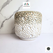 Load image into Gallery viewer, The Leaferie Gallagher crater pot.