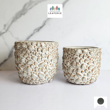 Load image into Gallery viewer, The Leaferie Gatsby Flowerpot. ceramic rock like pot