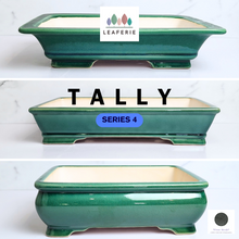Load image into Gallery viewer, The Leaferie Bonsai Tally Series 4 . ceramic material 3 designs