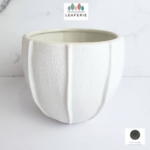 Load image into Gallery viewer, The Leaferie Pearl white ceramic pot