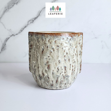 Load image into Gallery viewer, The Leaferie Amal pot. ceramic planter. front view