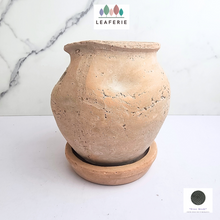 Load image into Gallery viewer, The Leaferie Yun Terracotta pot with tray