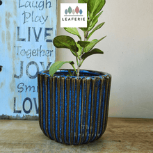 Load image into Gallery viewer, Radha Pot