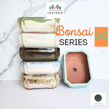 Load image into Gallery viewer, The Leaferie Bonsai Series 55 rectangular bonsai pots. ceramic material 6 colours