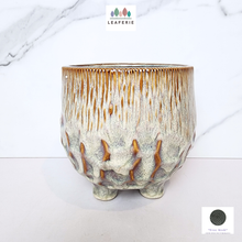 Load image into Gallery viewer, The Leaferie Clayton Beige ceramic pot with legs