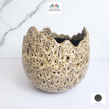 Load image into Gallery viewer, The Leaferie Dubois Egg flowerpot.ceramic material