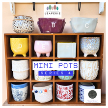 Load image into Gallery viewer, Mini Flowerpots (Series 4) 10cm