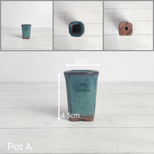 Load image into Gallery viewer, Petit Bonsai Pot (Series 5)