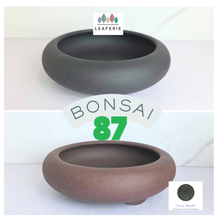 Load image into Gallery viewer, Bonsai Flowerpot (Series 87)