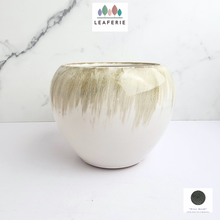 Load image into Gallery viewer, The Leaferie Hanae ceramic pot