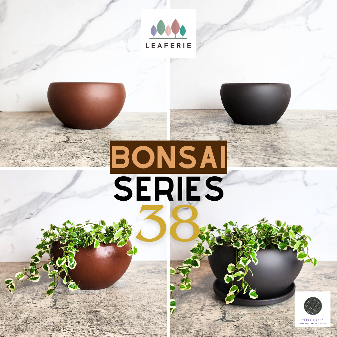 Bonsai Flowerpot (Series 38) 3 sizes The Leaferie