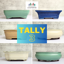 Load image into Gallery viewer, The Leaferie Tally Bonsai pot Series 3. large bonsai planter. design Pot 6 designs