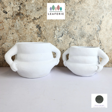 Load image into Gallery viewer, The Leaferie Michelin cement pot. 2 sizes
