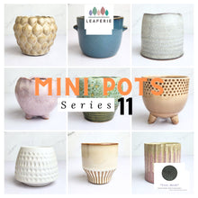 Load image into Gallery viewer, Mini Flowerpots (Series 11)