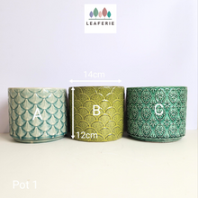 Load image into Gallery viewer, As-Is Pots Batch October 2023 (13 items)