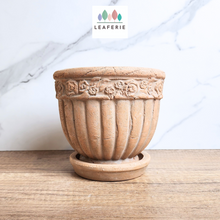 Load image into Gallery viewer, The Leaferie Philomel terracotta pot with tray.