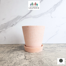 Load image into Gallery viewer, The Leaferie Yael terracotta pot with tray. 3 sizes