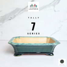 Load image into Gallery viewer, The Leaferie Bonsai Tally Series 7. green rectangular pot.