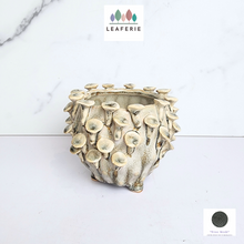 Load image into Gallery viewer, The Leaferie Handmade Moti Flowerpot. ceramic material