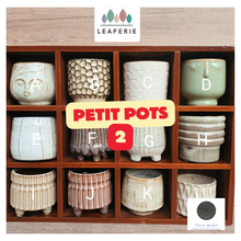 Load image into Gallery viewer, Petit Flowerpots (Series 2)